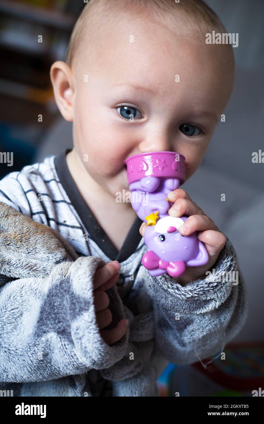 Babymädchen in grauer Kleidung und Bademantel hält sich in den Händen und knabbert eine violette Spielzeugkatze. Erster Zahn. Nahaufnahme Porträt des blauen augenkaukasischen Kindes. Zahnen Stockfoto