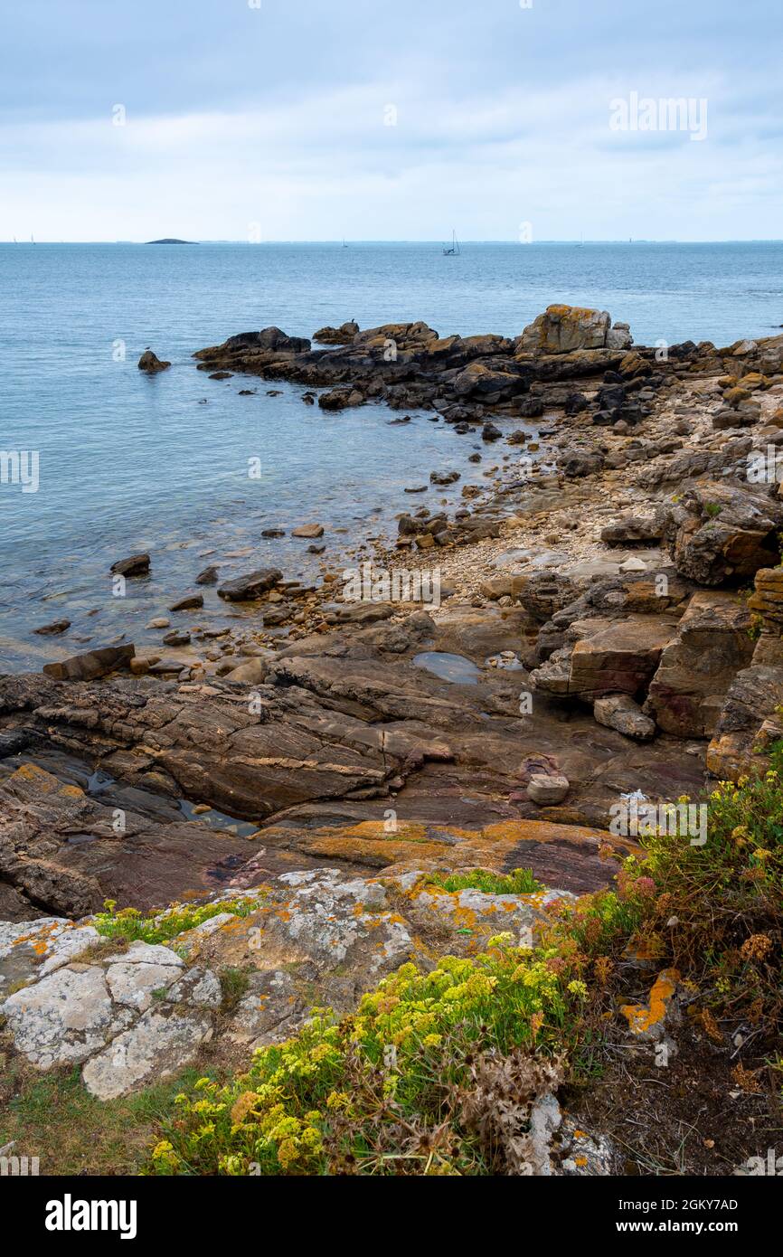 Landschaft der bretonischen Küste im Sommer in Arzon, Morbihan, Frankreich Stockfoto