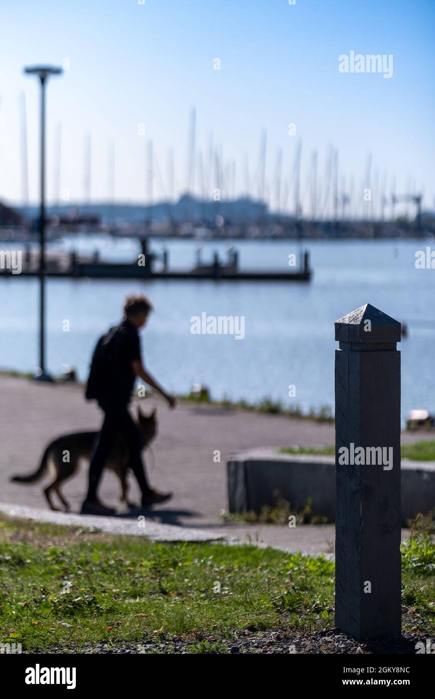 Helsinki / Finnland - 30. AUGUST 2021: Selektiver Blick auf einen Strandboulevard. Ein Mann, der an einem sonnigen Sommertag mit seinem Hund am Ufer herumläuft. Stockfoto