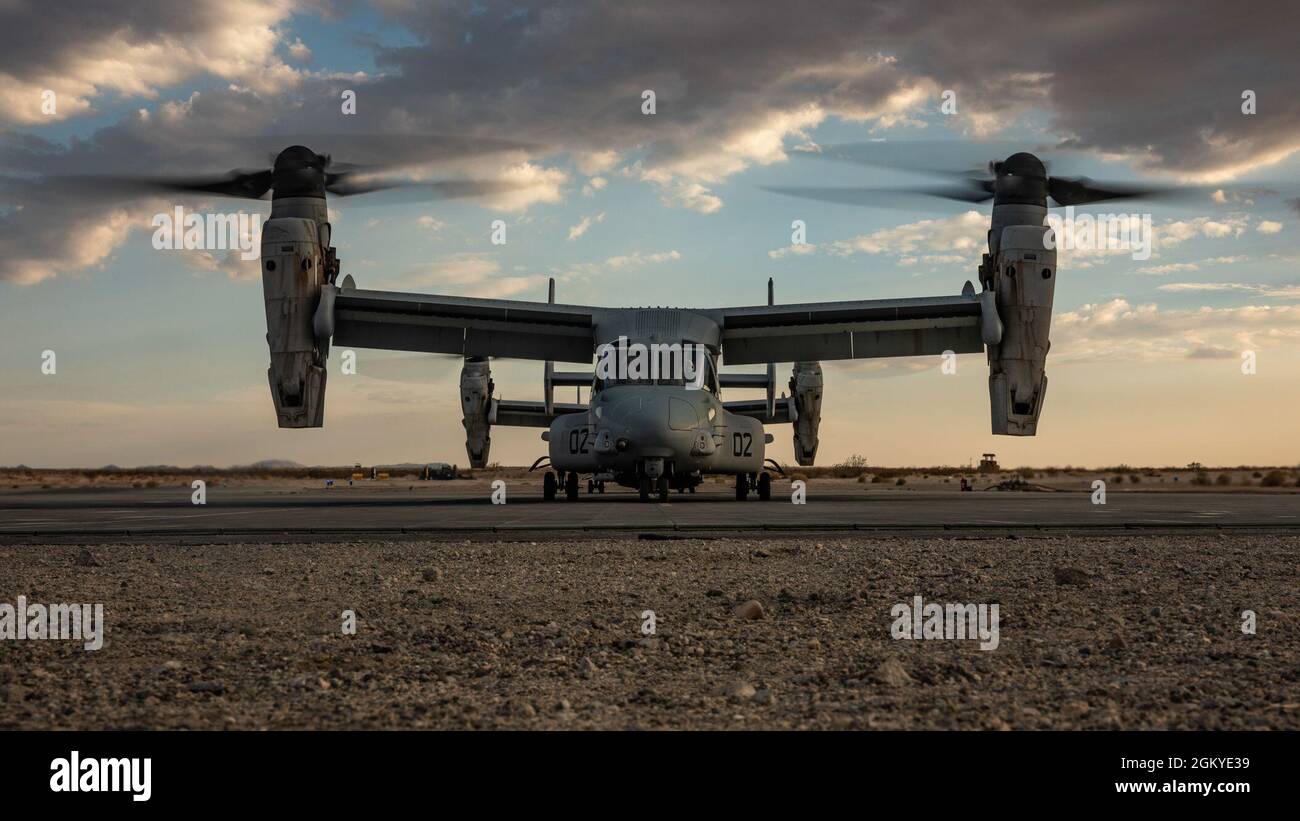 Ein MV-22 Fischadler mit Marine Medium Tiltrotor Squadron (VMM) 774 erwartet die Marineinfanteristen von Lima Company, 3. Bataillon, 25 Marineinfanteristen, an Bord während der Integrated Training Exercise (ITX) 4-21 im Marine Corps Air Ground Combat Center, Twentynine Palms, Kalifornien, am 28. Juli 2021. Marines mit VMM-774 führte Lima Company als Teil des Battalion Distributed Operations Course ein, ein Unterereignis von ITX, das eine enge Koordination von Luft- und Bodenanlagen in einem geografisch verteilten Betriebsgebiet erfordert. Stockfoto