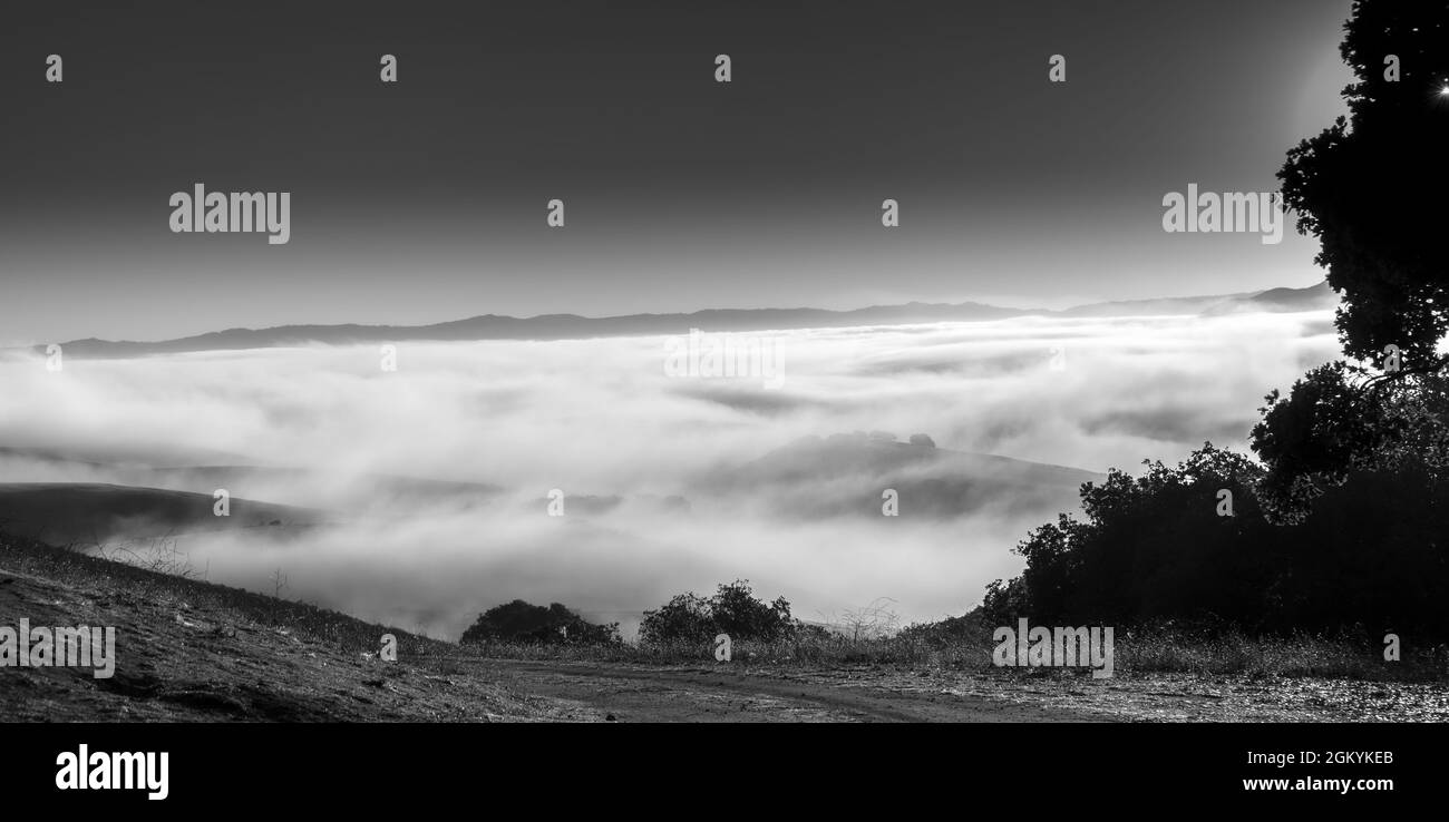 Monterey, Pazifikküste, nebliger Morgen, Camping, Hügel, sonnenaufgang Stockfoto