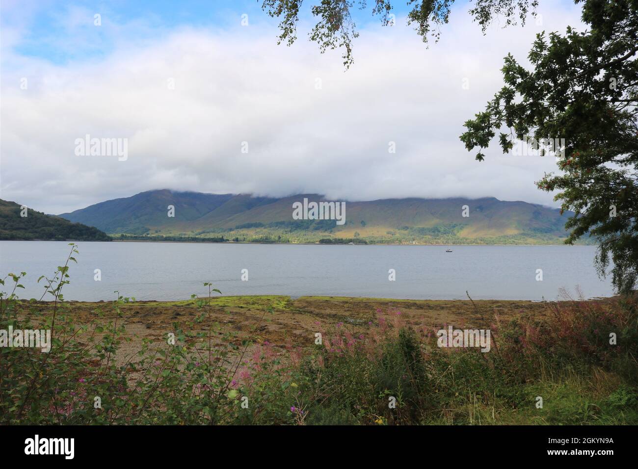 Loch Linnhe, See loch an der Westküste Schottlands. Stockfoto