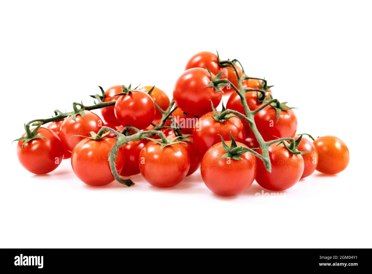 Ein Haufen Kirschtomaten, bestehend aus ein paar Zweigen roter Tomaten auf weißem Hintergrund Stockfoto