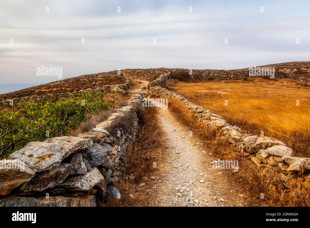 Ein langer felsiger Pfad, der über die griechische Insel Folegandros führt, führt an Grasfeldern vorbei Stockfoto