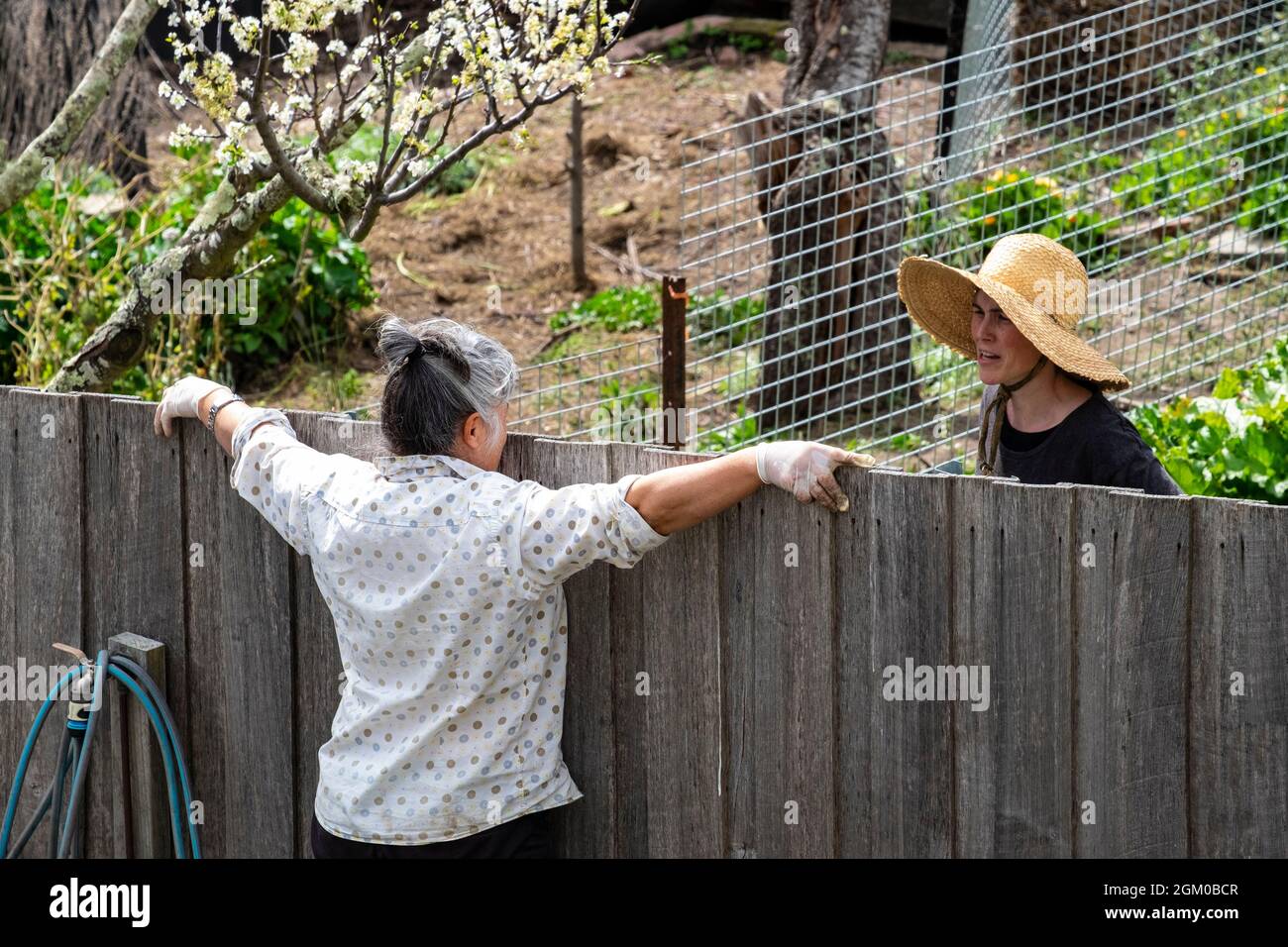 Zwei Nachbarinnen plaudern über ihren angrenzenden Gartenzaun Stockfoto