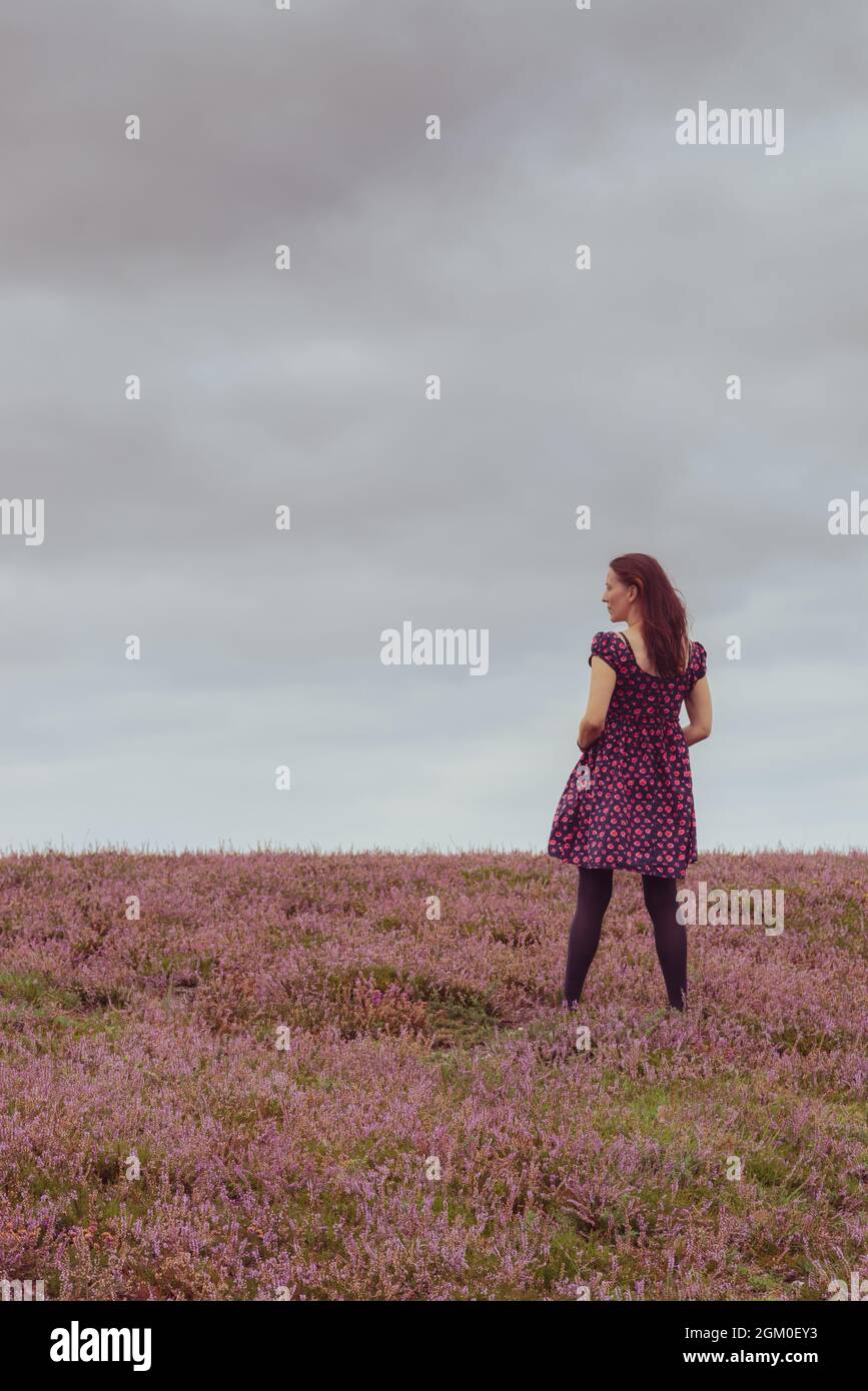 Frau, die im Sommer in Heidekraut im New Forest, England, Großbritannien, steht Stockfoto