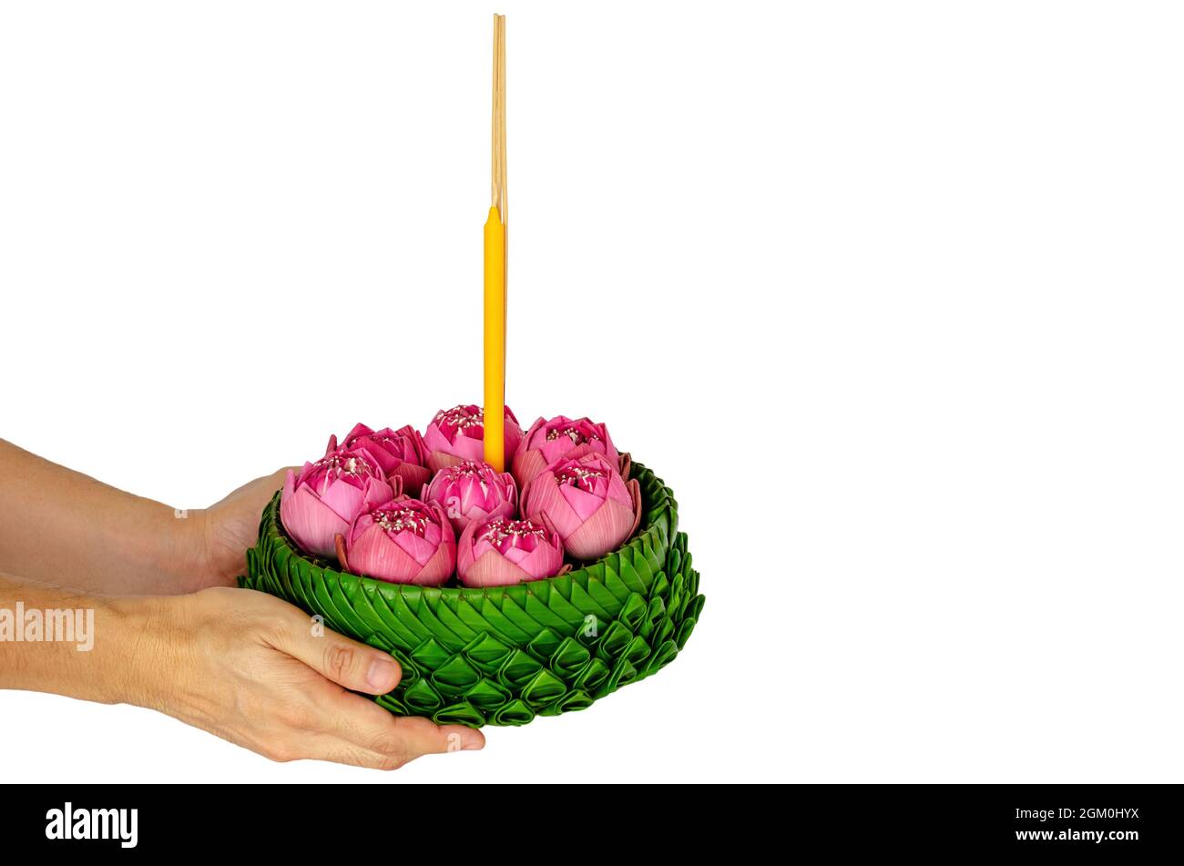 Hand hält Bananenblatt Krathong schmückt mit rosa Lotusblumen für Thailand Vollmond oder Loy Krathong Festival isoliert auf weißem Hintergrund. Stockfoto