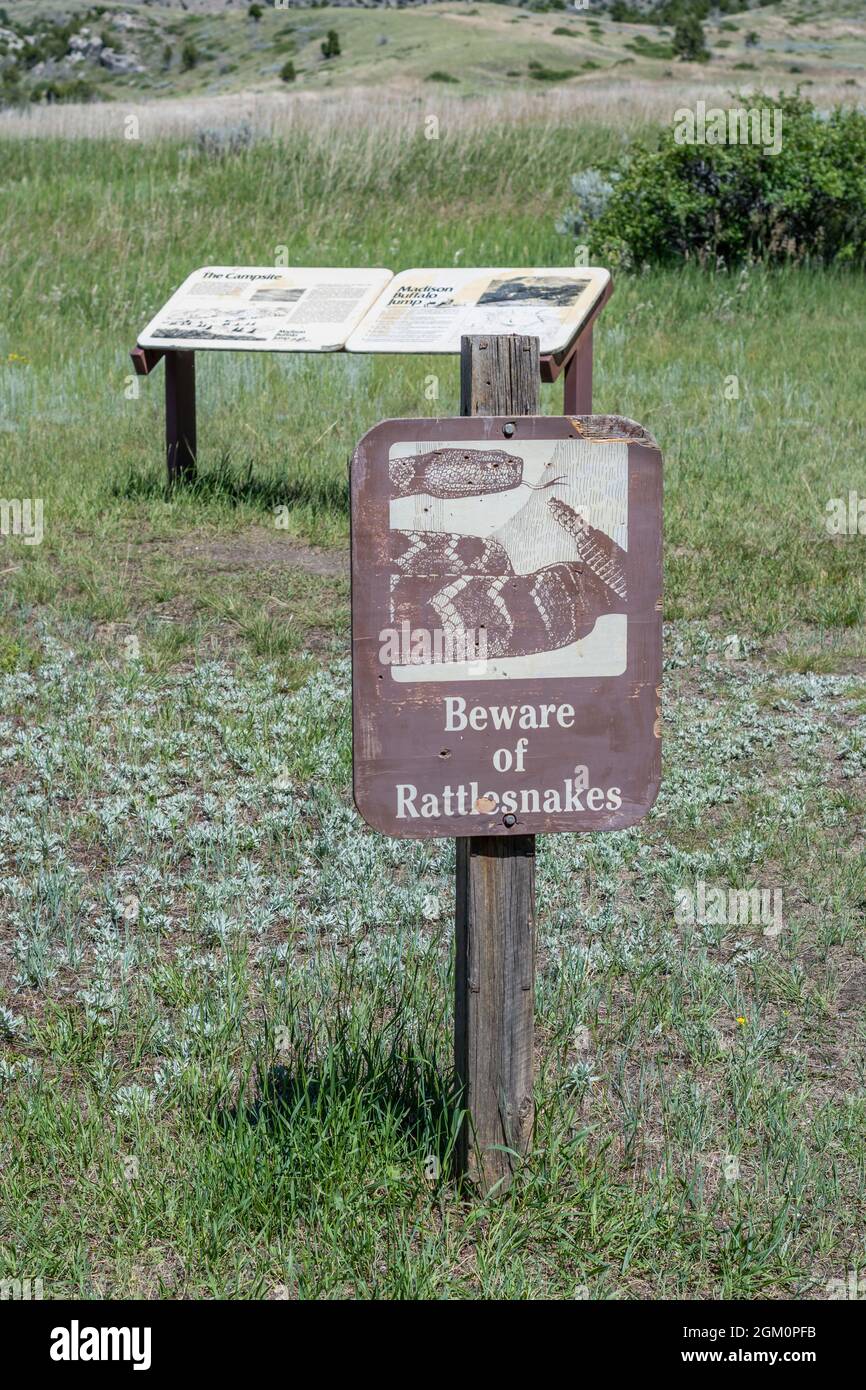 Madison Buffalo Jump SP , MT, USA - 2. Juli 2020: Ein Warnzeichen bei der Sichtung von Schlangen Stockfoto