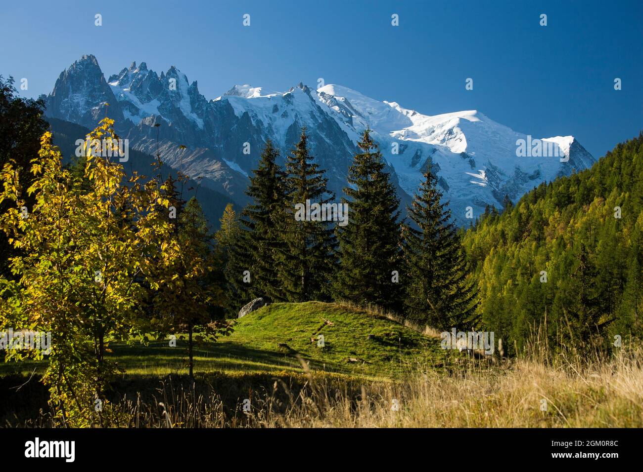 FRANKREICH HAUTE-SAVOIE (74) CHAMONIX, DER MONT-BLANC VON TRE-LE-CHAMP : GIPFEL VON CHAMONIX, DER GIPFEL VON MIDI, DER MONT-BLANC UND KUPPEL UND GIPFEL VON GOUTER Stockfoto