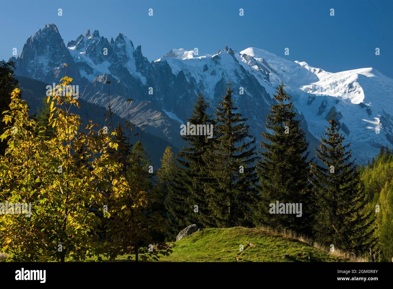 FRANKREICH HAUTE-SAVOIE (74) CHAMONIX, DER MONT-BLANC VON TRE-LE-CHAMP : GIPFEL VON CHAMONIX, DER GIPFEL VON MIDI, DER MONT-BLANC UND DIE KUPPEL VON GOUTER Stockfoto