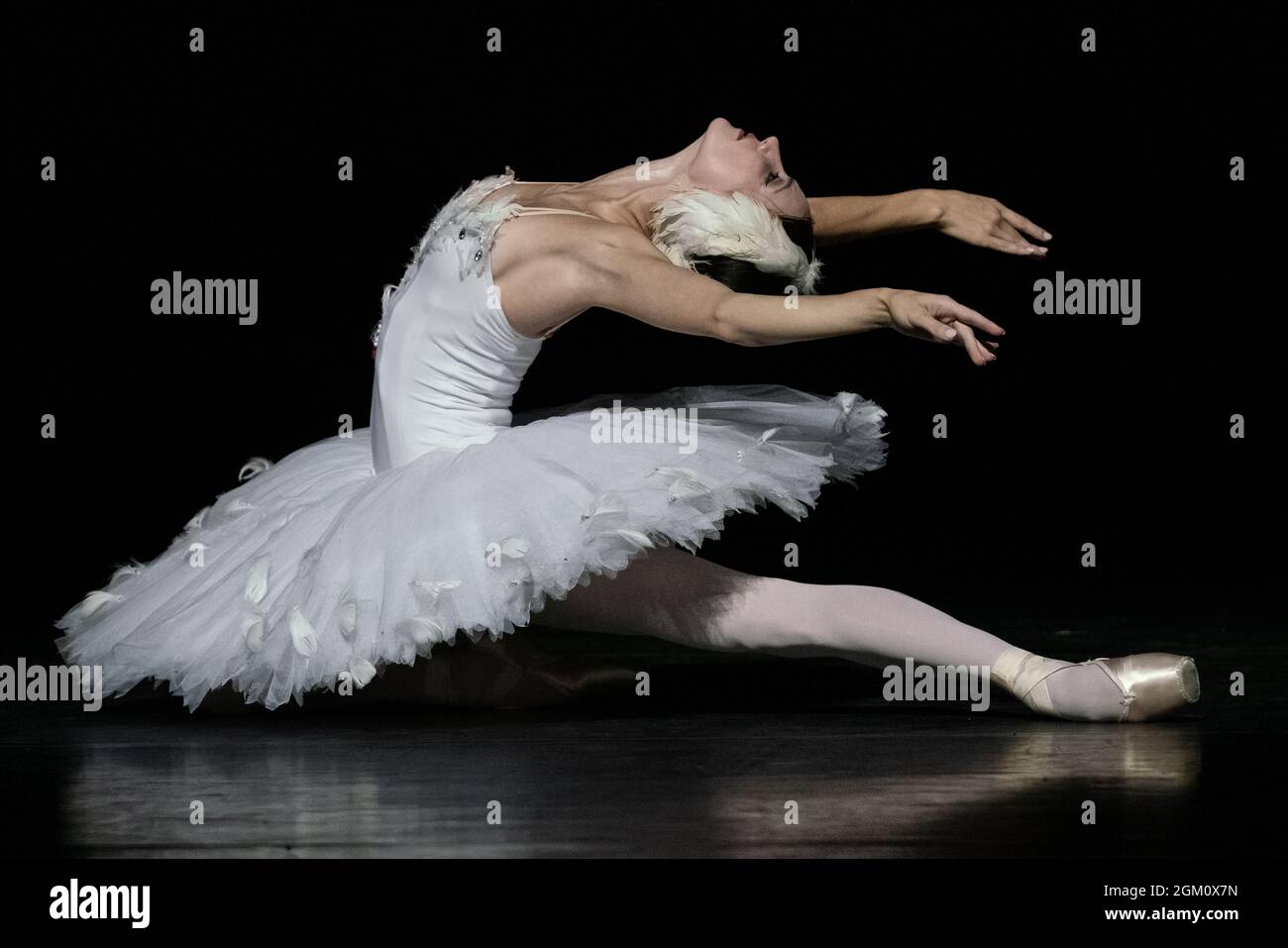 The Dying Swan, aufgeführt von Christine Shevchenko im Rahmen der Ukrainian Ballet Gala in Sadler’s Wells, London, Großbritannien Stockfoto