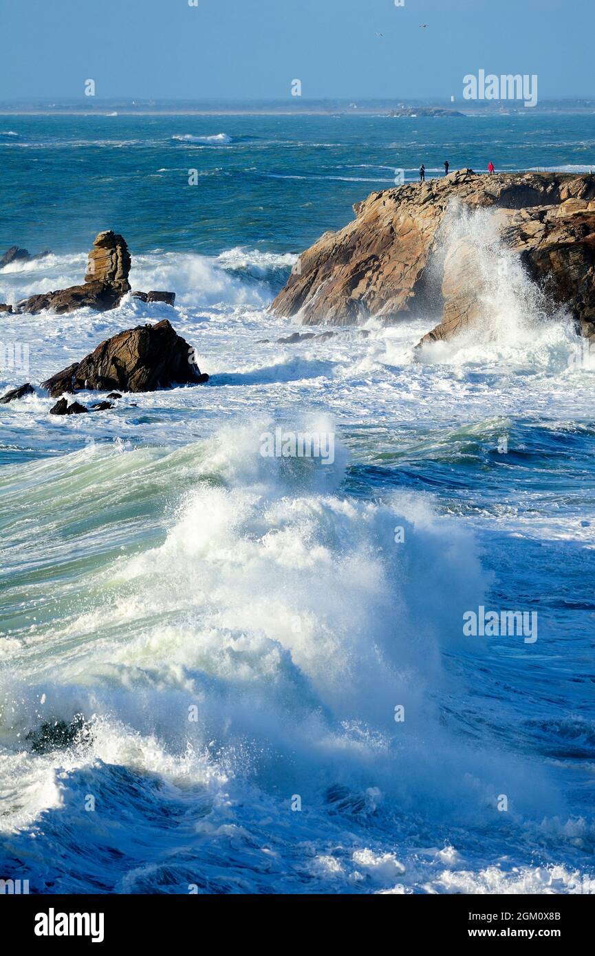 FRANKREICH. MORBIHAN (56) QUIBERON - QUIBERON WILD COAST-BEG EN AUD. (BILD NICHT VERFÜGBAR FÜR KALENDER ODER POSTKARTE) Stockfoto