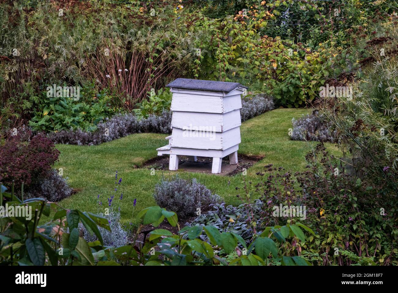 Honey Bee Bienenstock in einem englischen Landgarten. Stockfoto