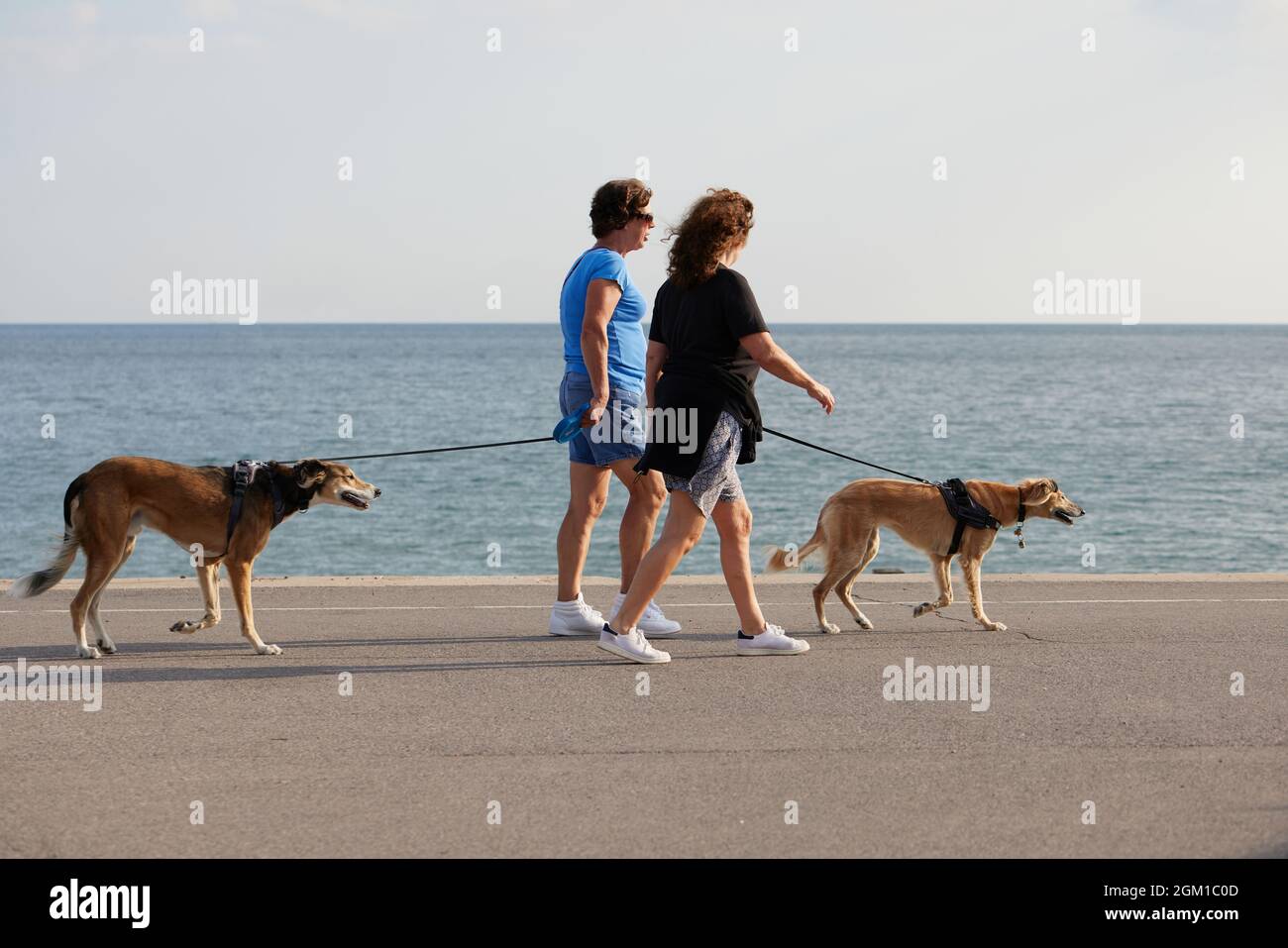 Zwei Frauen sahen ihre Hunde am Meer entlang laufen. Stockfoto