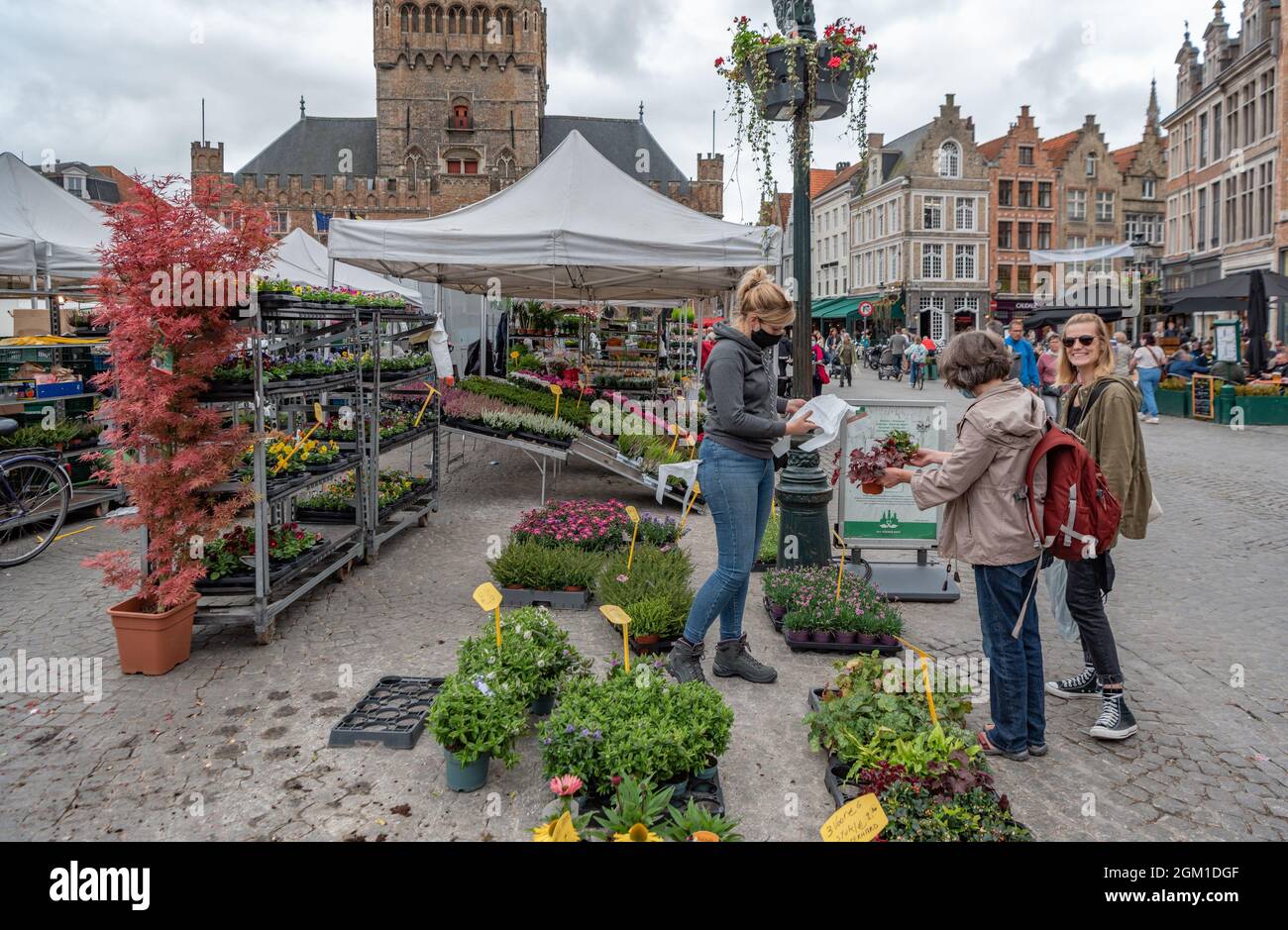 Market, Brugge-Bruges, Belgien Stockfoto