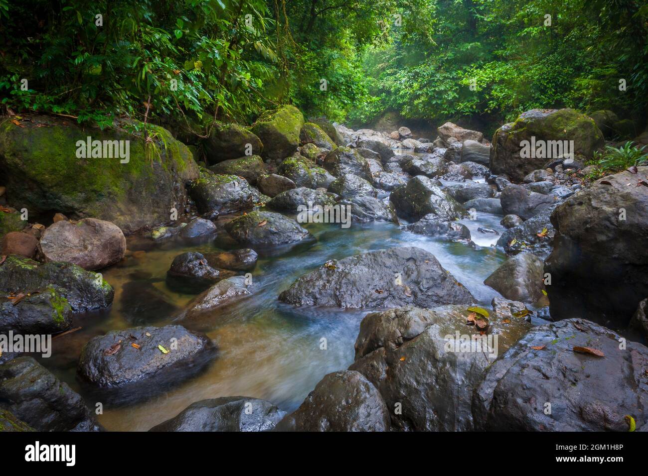 Flusslauf mit großen Felsbrocken, umgeben von dichtem, üppigen Regenwald im Portobelo Nationalpark, Provinz Colon, Republik Panama, Mittelamerika. Stockfoto