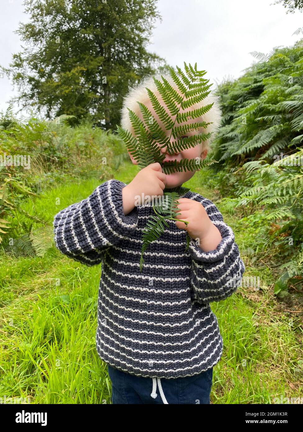 Ein junger 2-jähriger Junge versteckt sich hinter einem Farnblatt, das draußen spielt Stockfoto