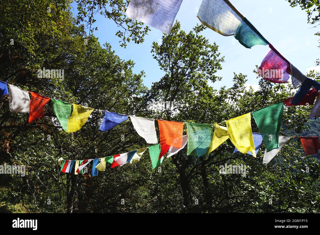 Über einem bewaldeten Pfad im ländlichen Bhutan hängen bunte Gebetsfahnen zwischen den Bäumen. Legenden verfolgen den Ursprung der Gebetsfahne auf Buddha. Stockfoto