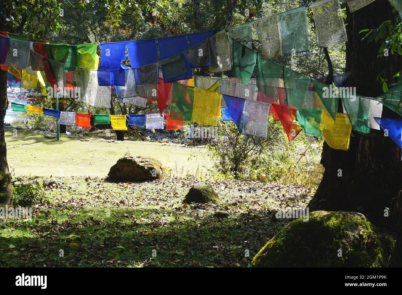 Bunte Gebetsfahnen hängen an den Bäumen in der Nähe einer sonnigen Lichtung an einem Fluss im ländlichen Bhutan. Legenden verfolgen den Ursprung der Gebetsfahne auf Buddha. Stockfoto