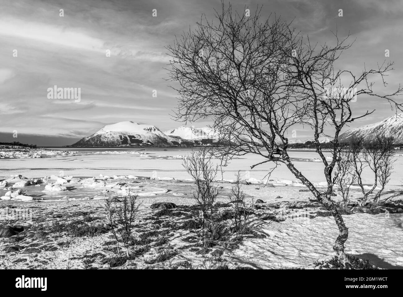 Winter Norwegen LANDSCHAFT Stockfoto
