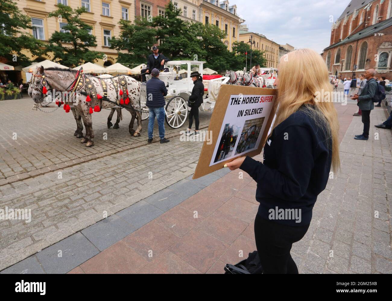 Krakau. Krakau. Polen. Tierrechtler protestieren am Fahrerstand am Main Market Place gegen die Ausbeutung von Kutschenzugpferden Stockfoto