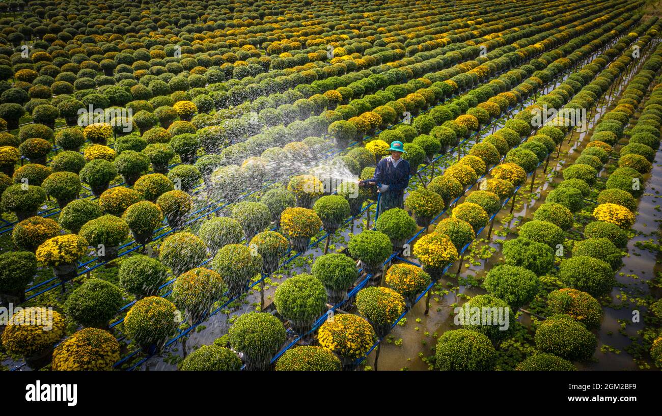 SA Dec Blumendorf in der Provinz Dong Thap, Südvietnam Stockfoto