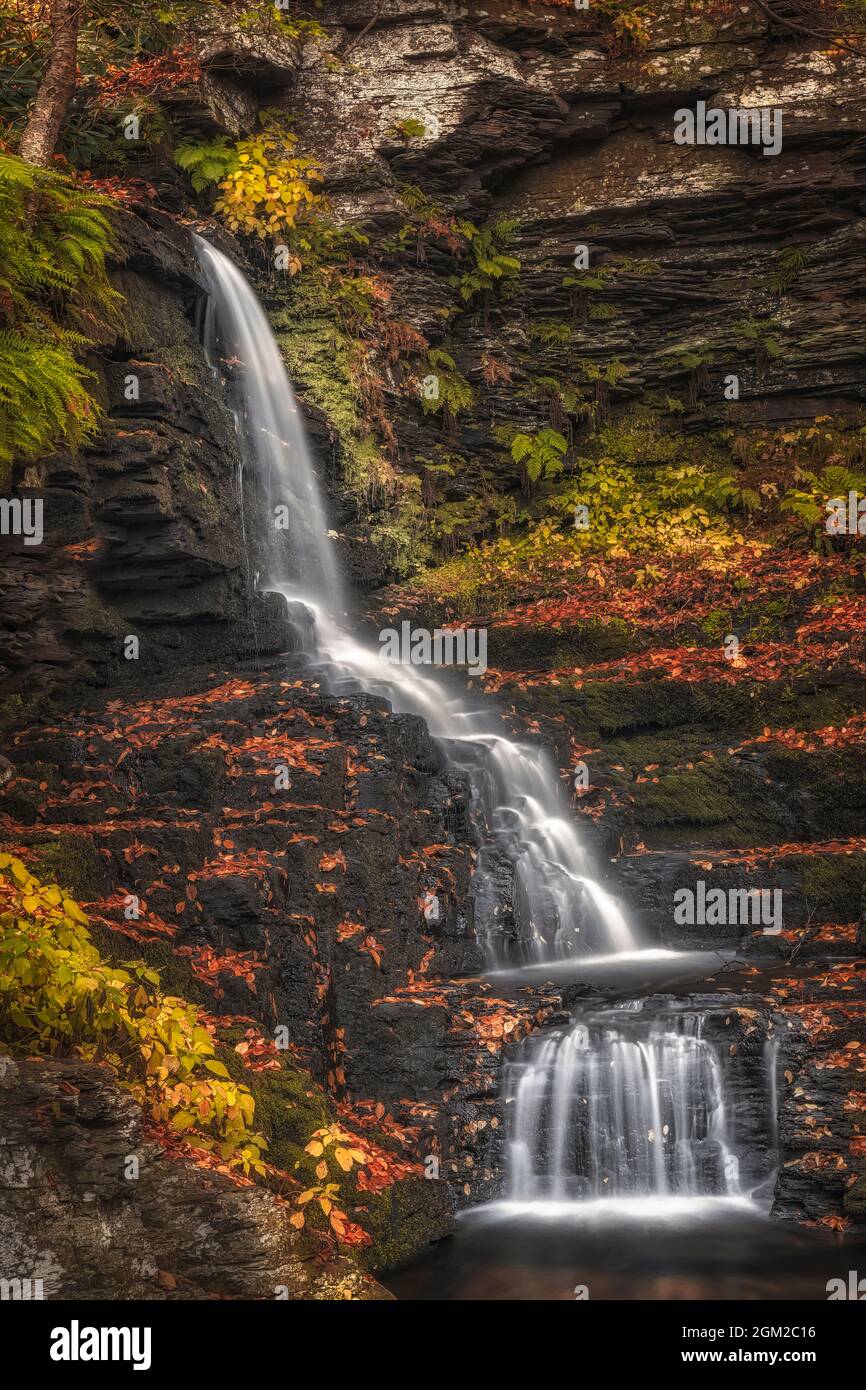 Bushkill Bridal Veil Falls PA - Blick auf den Pennel Wasserfall, umgeben von den bunten Farben des Herbstes. Dieses Bild ist auch als schwarzes und verfügbar Stockfoto