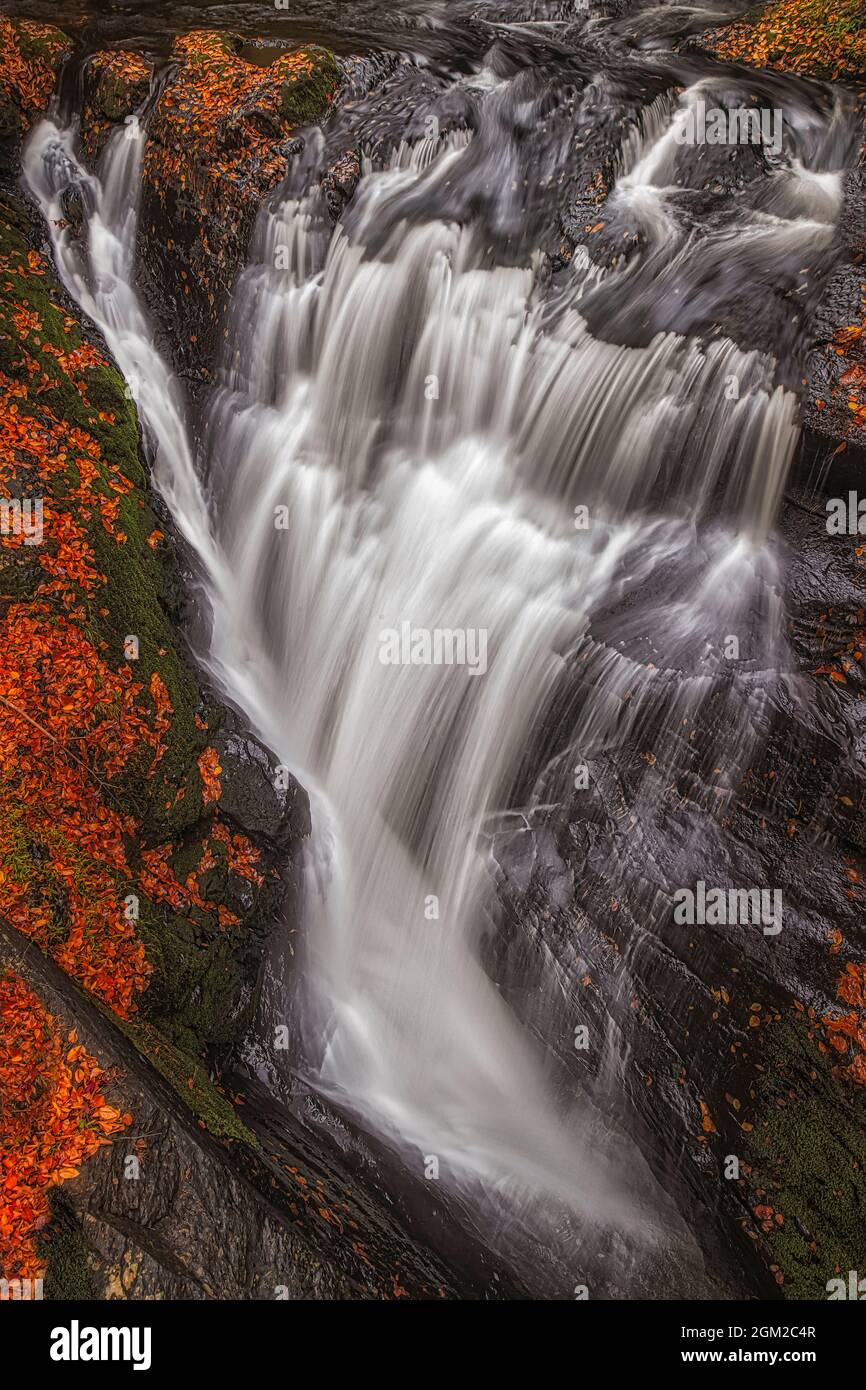 PA Wasserfall Details - Nahaufnahme des Wasserfalls, umgeben von den bunten Herbstblättern. Dieses Bild ist auch in Schwarzweiß verfügbar. Stockfoto