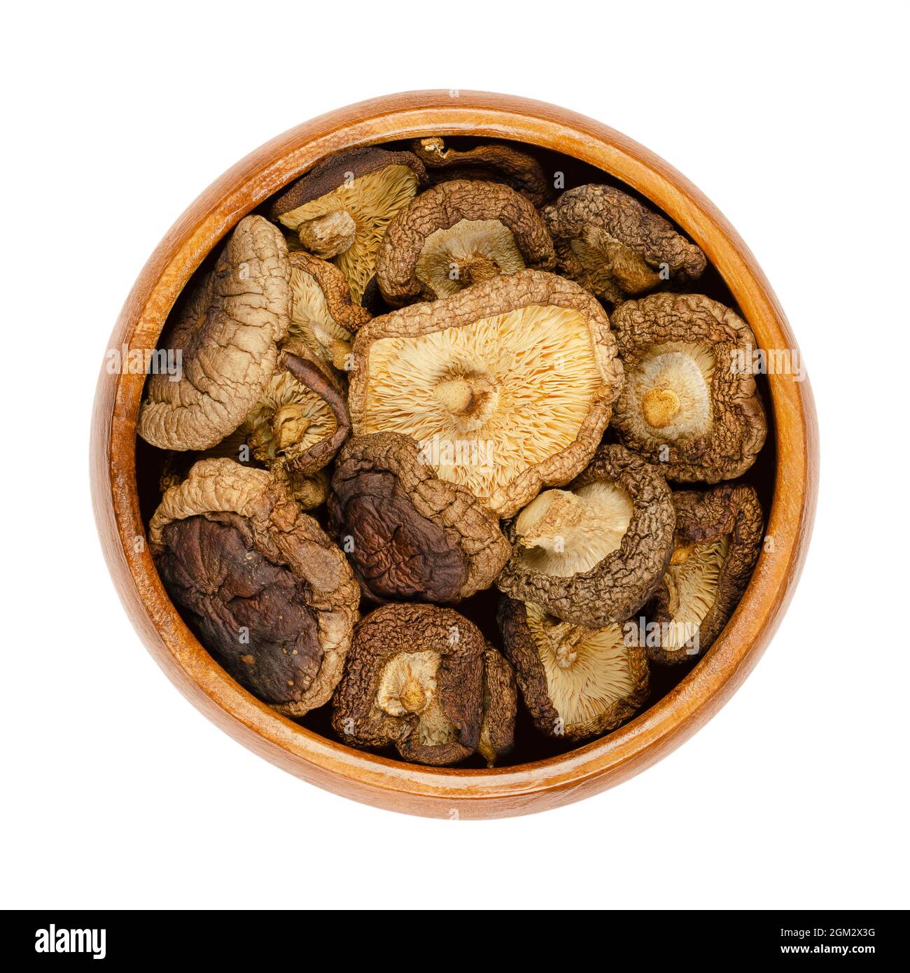 Getrocknete Shiitake-Pilze, in einer Holzschüssel. Lentinula edodes, essbare Pilze, aus Ostasien, auch in der traditionellen Medizin verwendet. Stockfoto