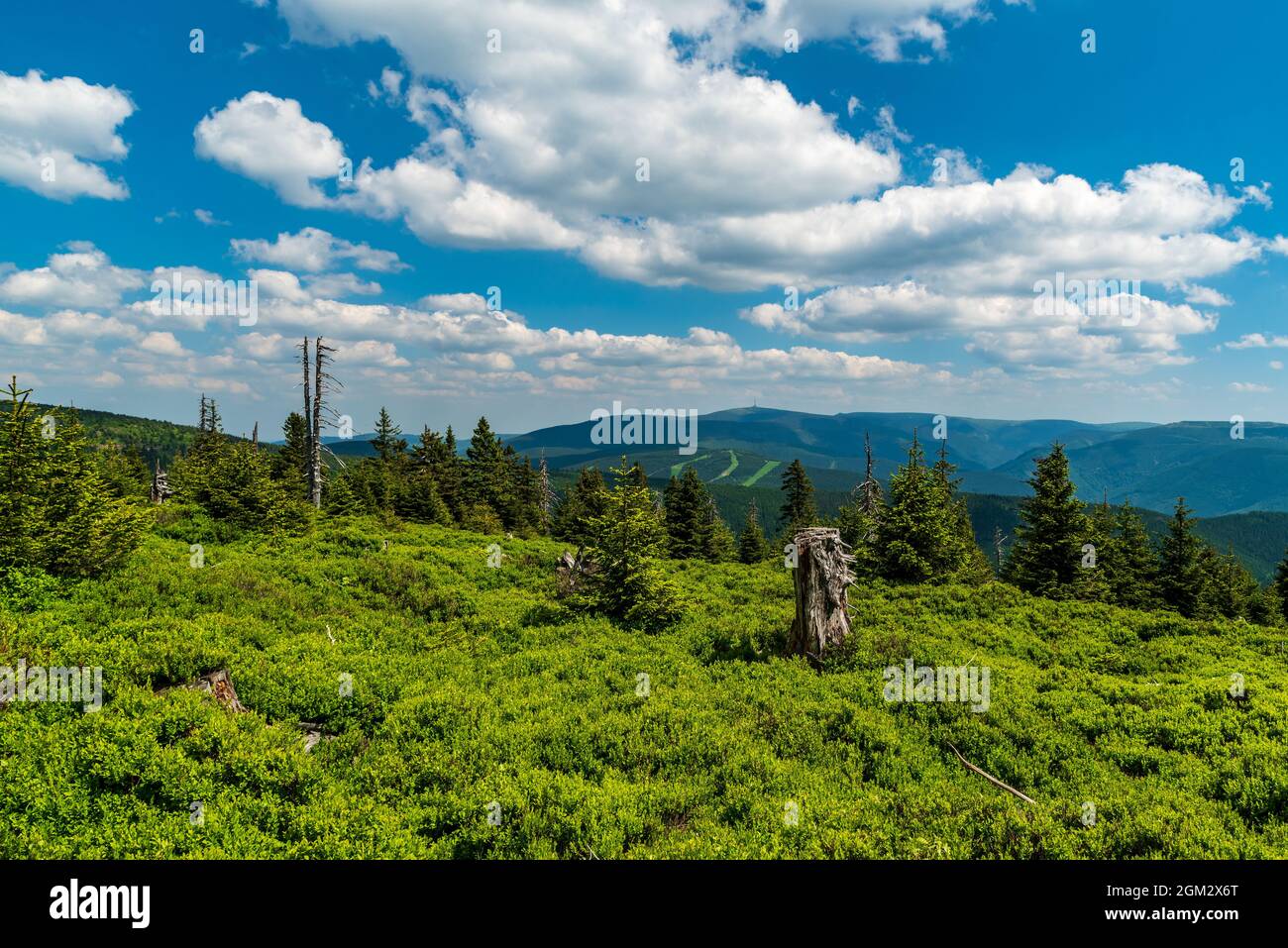 Jeseniky Berge mit dem höchsten Praded Hügel von Spaleny vrch Hügel in der Tschechischen republik während eines schönen Tages mit blauem Himmel und Wolken Stockfoto