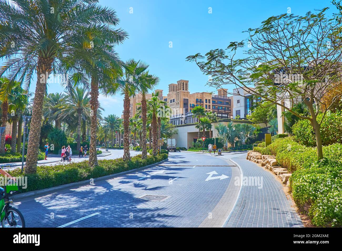 DUBAI, VAE – 4. MÄRZ 2020: Üppiges Grün und hohe Palmen entlang der Jumeirah Beach Road, am 4. März in Dubai Stockfoto