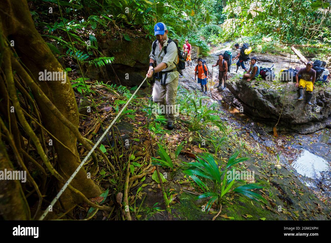 Ein Mann klettert einen steilen Teil des Camino Real Trail im dichten Regenwald des Nationalparks Portobelo, Republik Panama, Mittelamerika. Stockfoto