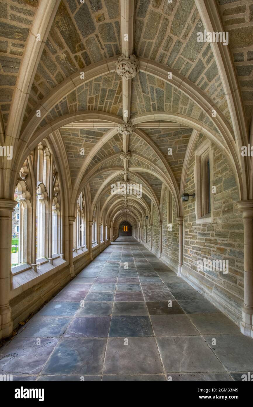 Princeton University Flur III - Blick auf ein perfektes Beispiel für die Stiftskirche gotischen Architektur Stil. Princeton University ist eine private Ivy League Stockfoto