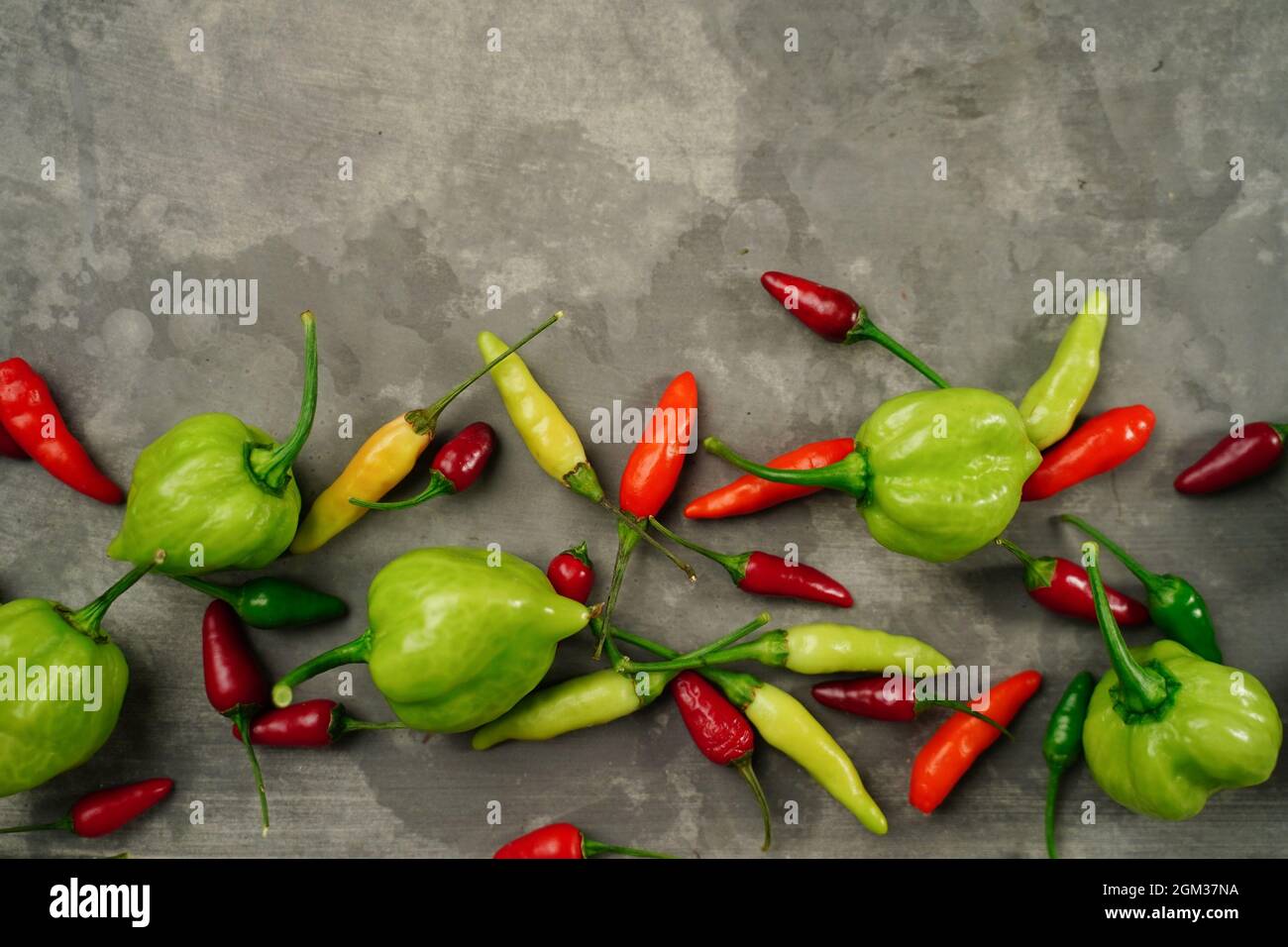 Verschiedene Arten von selbst angebauten Chilis oder Chilischoten Hintergrund, selektiver Fokus Stockfoto