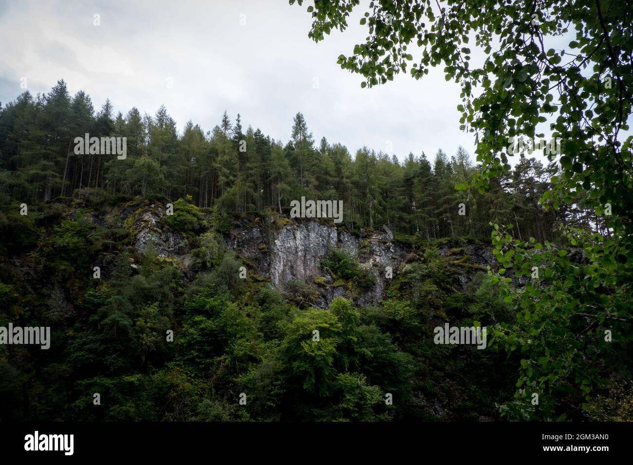 Bewaldete Klippenkante in Foyers, Schottische Highlands Stockfoto