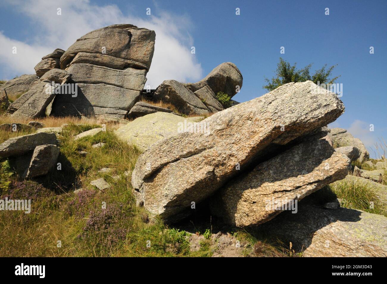 Rocce salendo da Ostana alla Punta Selassa in Valle Po, Piemonte Stockfoto
