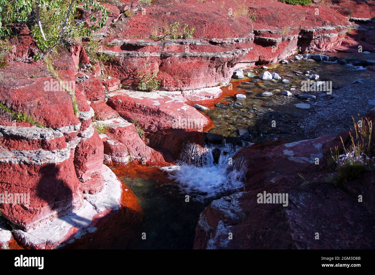 Kaltes Wasser fließt durch den Red Rock Canyon im Waterton Lakes National Park in Montana Stockfoto