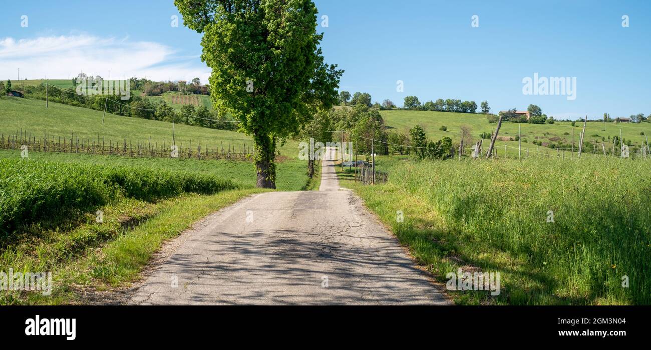 Landstraße auf den Hügeln der Provinz Bologna in der Nähe von Castello di Serravalle, Gemeinde Valsamoggia, Emilia Romagna, Italien. Stockfoto
