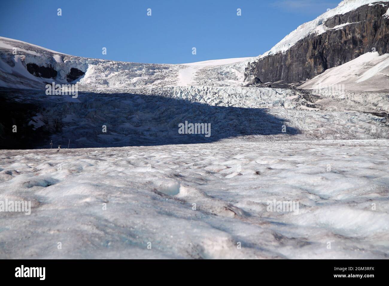 Der spektakuläre Athabasca-Gletscher in den Kanadischen Rockies im Jasper National Park Stockfoto