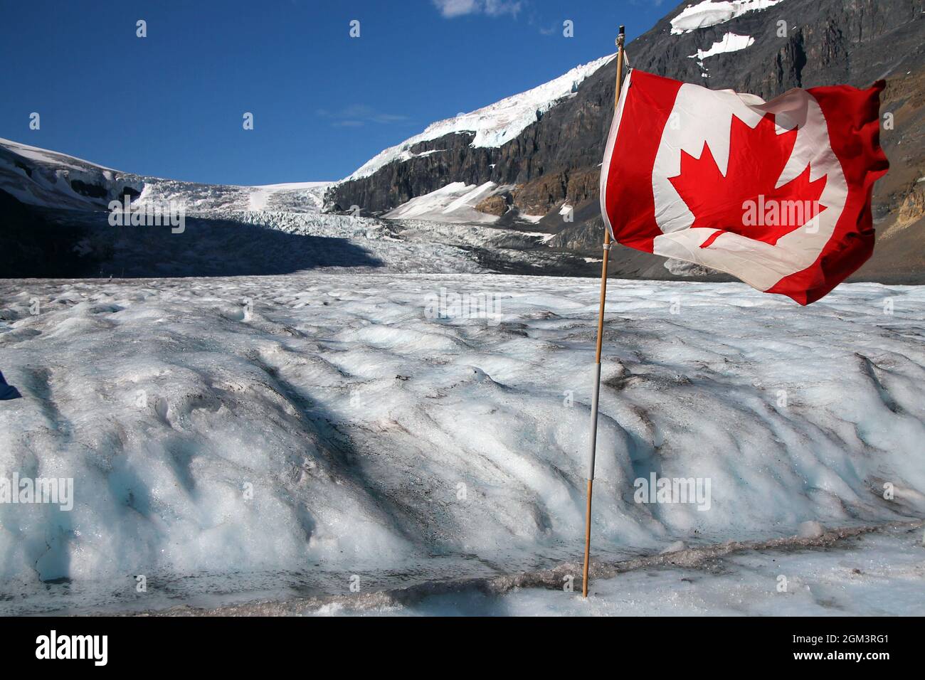 Winkende rote kanadische Flagge auf dem schmelzenden Athabasca-Gletscher im Jasper National Park Stockfoto