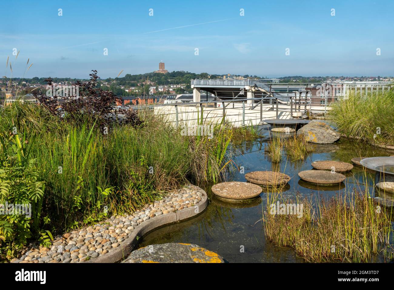 Jellicoe Roof Garden im Geschäft House of Fraser in Guildford, Surrey, England, Großbritannien Stockfoto