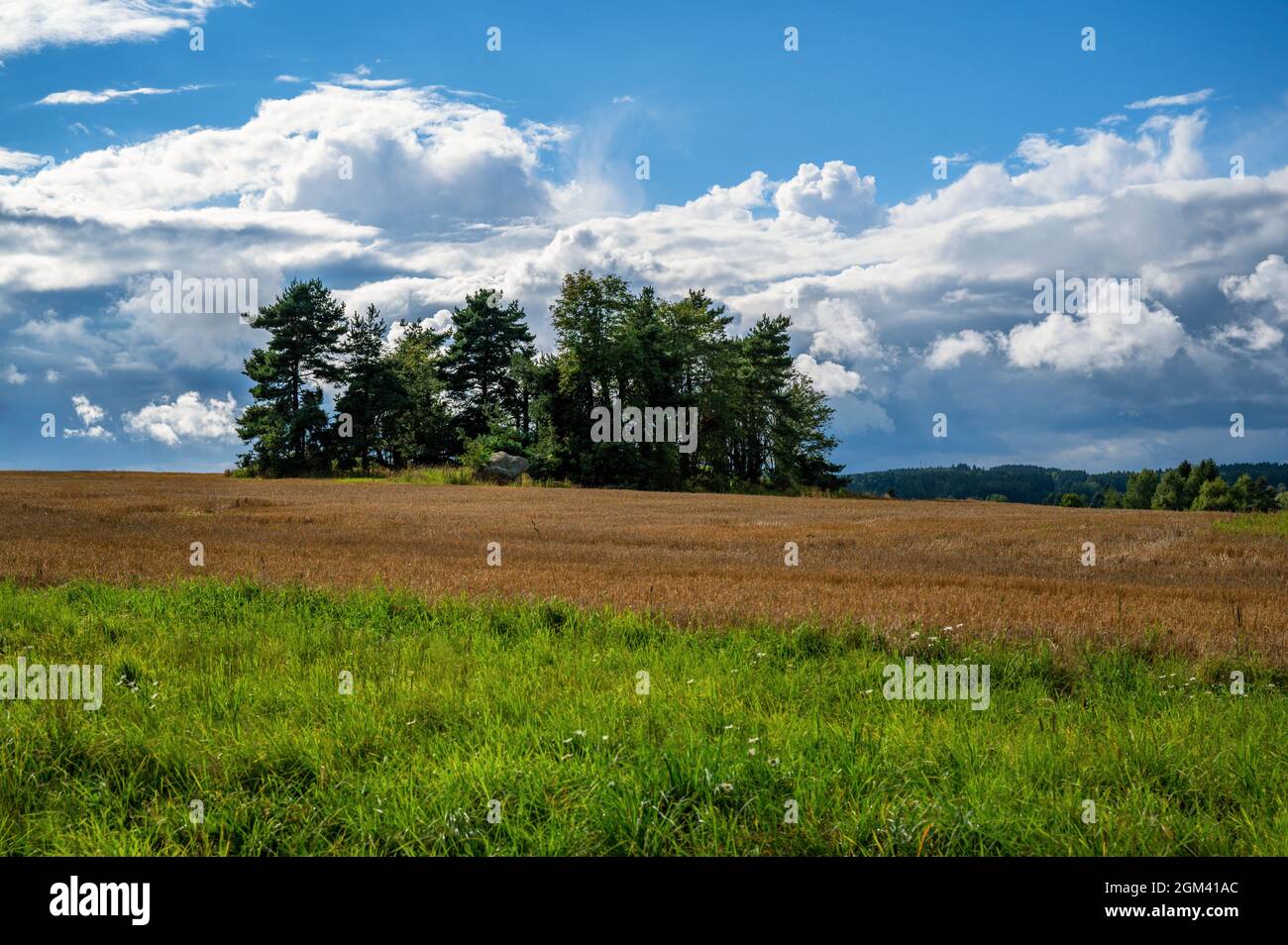 Typische Landschaft für die Region Südböhmens, genannt „Böhmisches Kanada“, Feld, Wiese und kleine „Insel“ mit Baum und Felsbrocken. Tschechische republik, Blato. Stockfoto