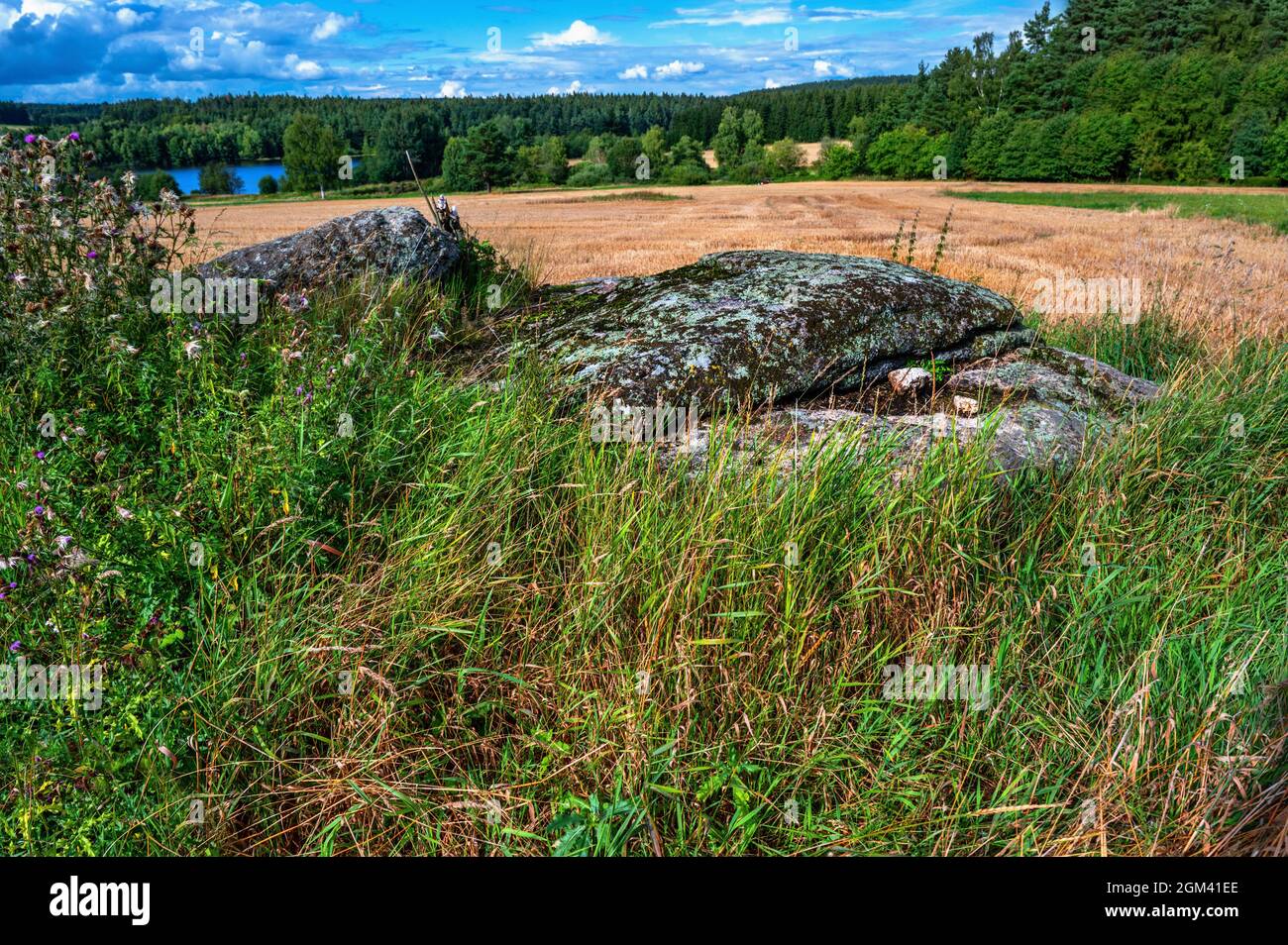 Felsbrocken in Wiese, Feld, Wald und Teich am Horizont, in der Nähe des Dorfes Blato, Tschechische republik. Typische Landschaft in der Region „Tschechische Kanada“. Stockfoto