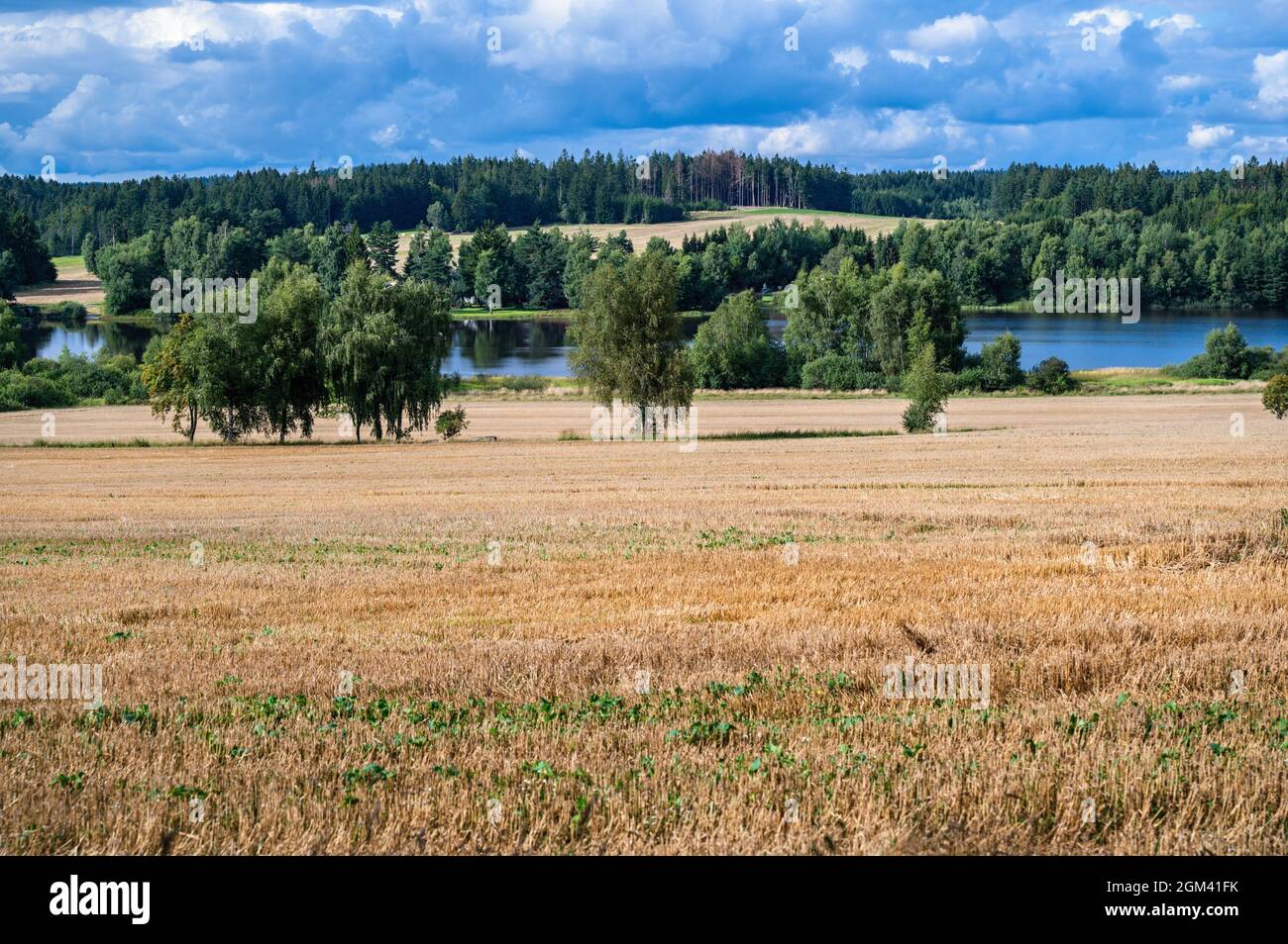 Ländliche Landschaft typisch für die Region in Südböhmen, genannt "Tschechische Kanada", Feld, Wiese, Baum und blauer Teich, in der Nähe des Dorfes Blato, Tschechische republik. Stockfoto