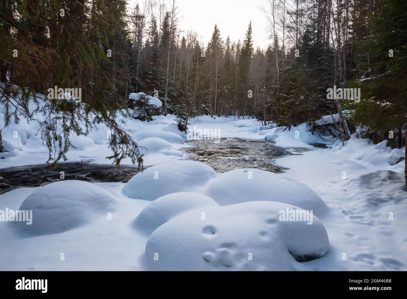 Schneeverwehungen am Ufer eines nicht-eisigen Flusses in einem winterverschneiten Wald. Winterlandschaft, Karelien Stockfoto