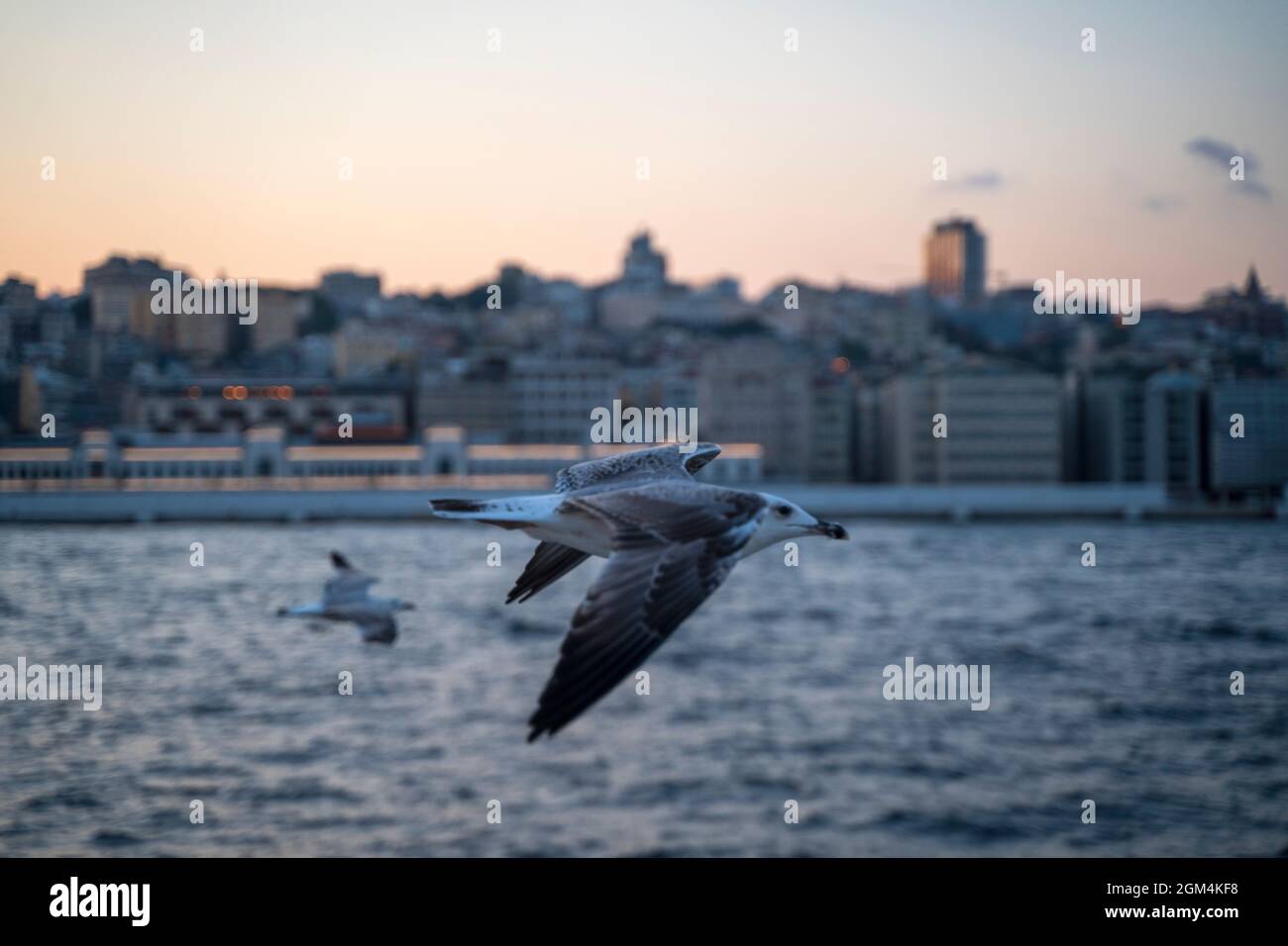 Blick auf den bosporus von Istanbul Stockfoto