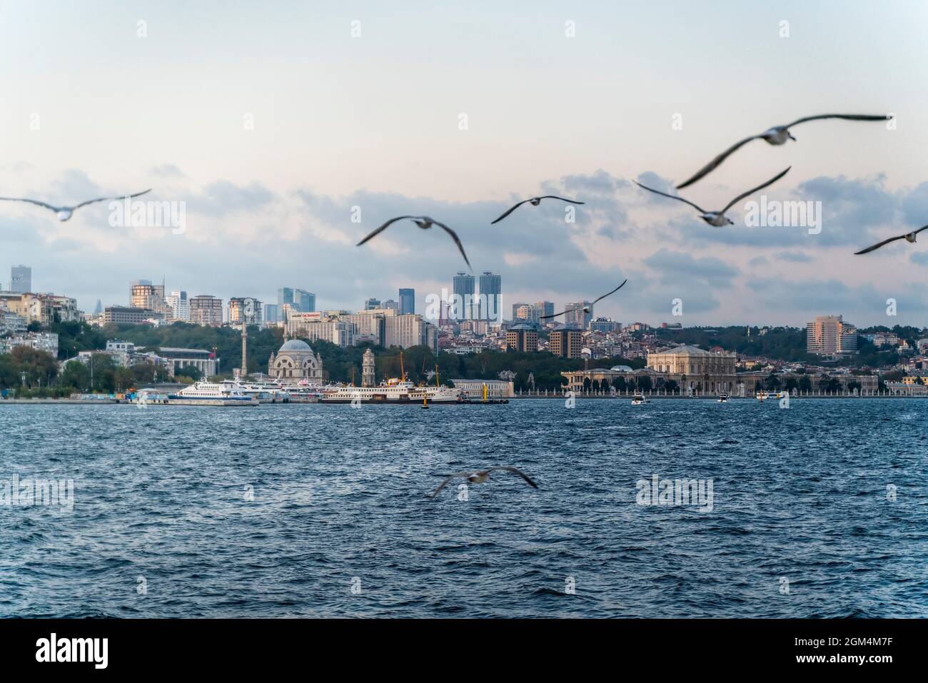 Blick auf den bosporus von Istanbul Stockfoto