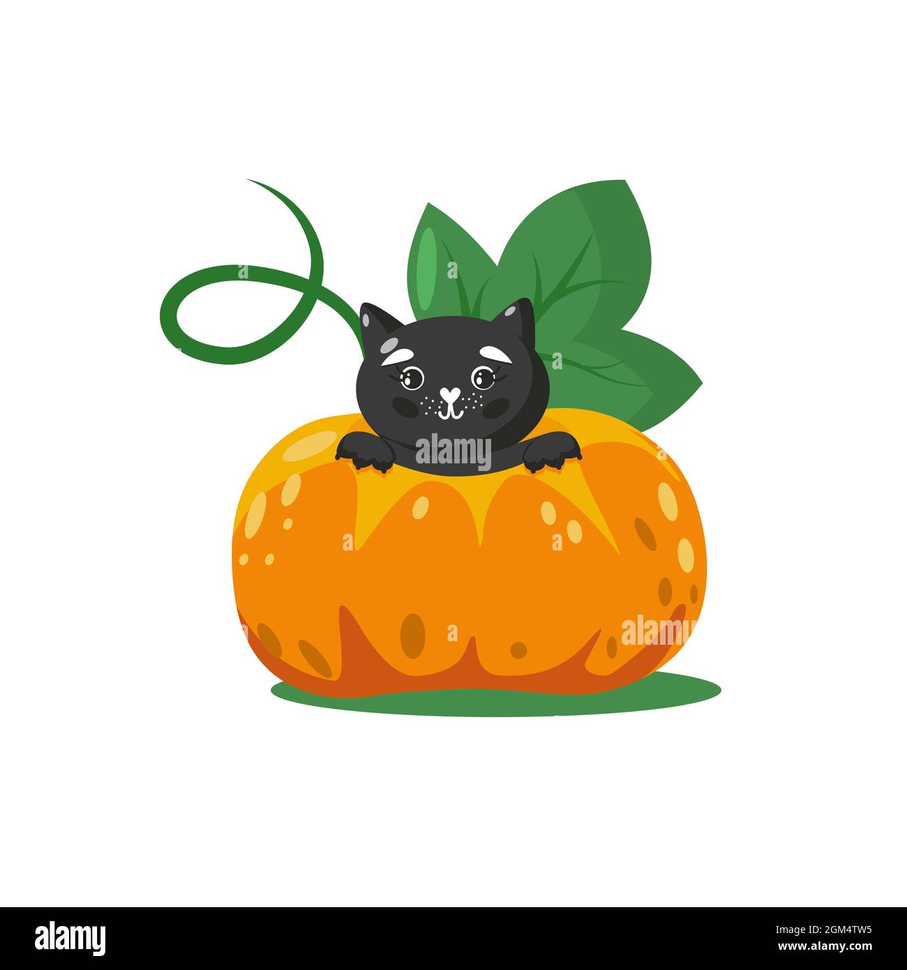 Niedliche Halloween schwarze Katze im Inneren großen Kürbis. Isolierte Vektordarstellung. Entzückender Tiercharakter Stock Vektor