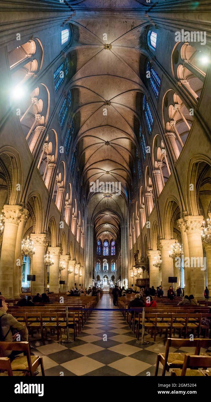 Innenraum des Notre Dame de Paris, Frankreich. Hohe vertikale Ansicht mit Blick auf den Hauptgang Stockfoto