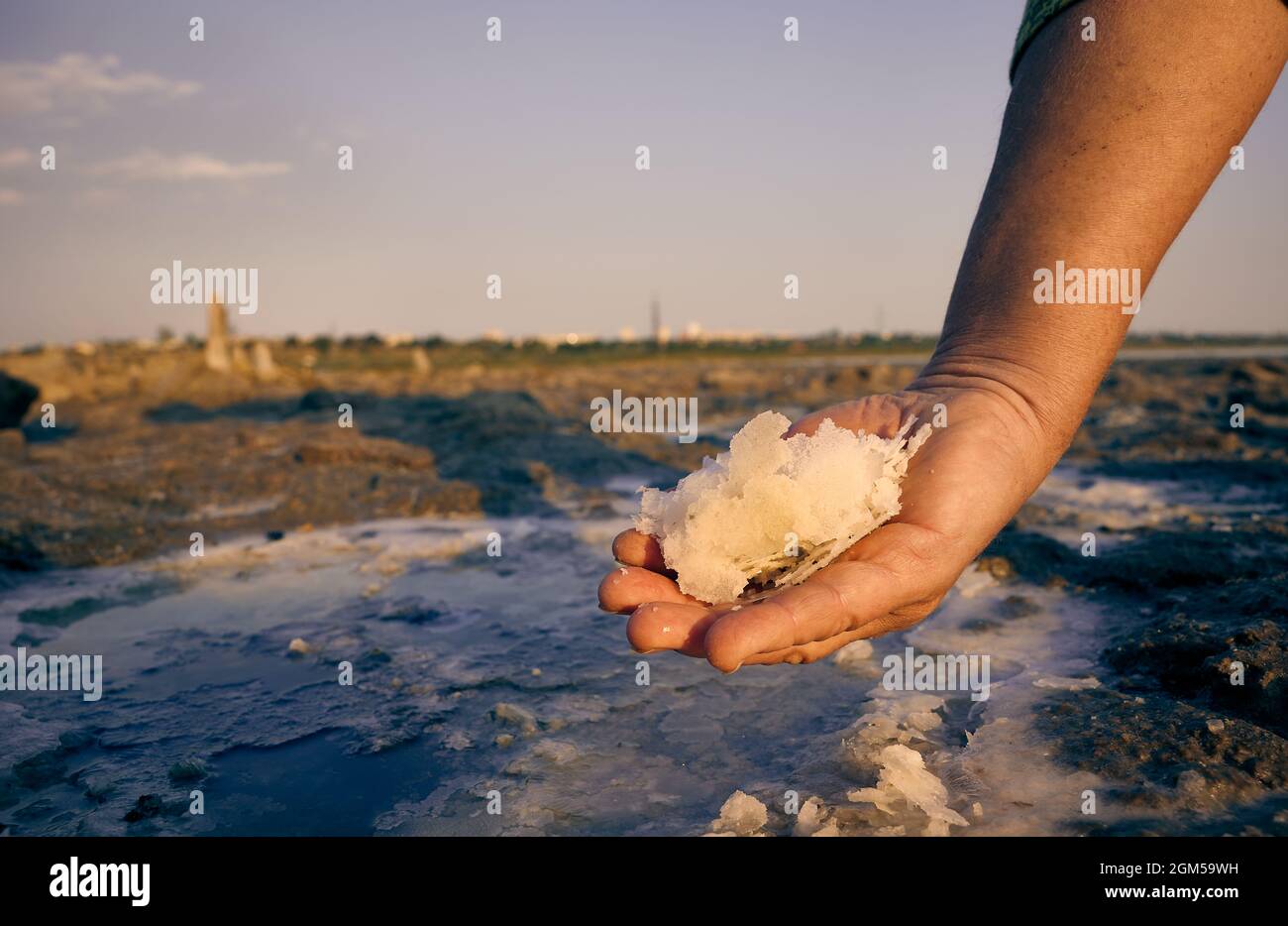 Salz auf der Palme aus der Kuyalnik-Mündung vor dem Hintergrund einer Salzpfütze. Odessa Ukraine Stockfoto